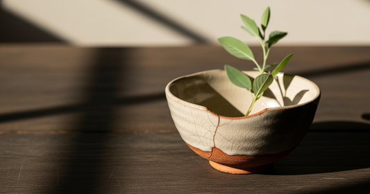 Kaizen in Japanese: What the Word Really Means in the Culture That Made It