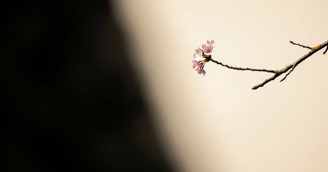 The Wabi-Sabi Ceiling Light: Diffused Illumination, Natural Material, and the Quality of Overhead Light