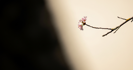 The Wabi-Sabi Ceiling Light: Diffused Illumination, Natural Material, and the Quality of Overhead Light