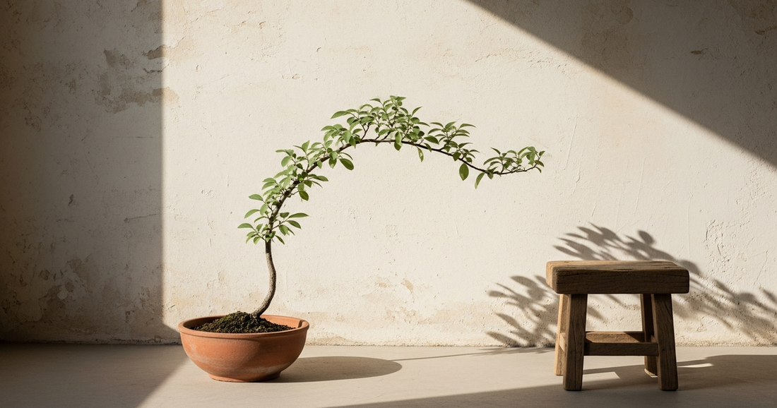 The Wabi-Sabi Living Room: Imperfection, Stillness, and the Space That Makes Presence Possible